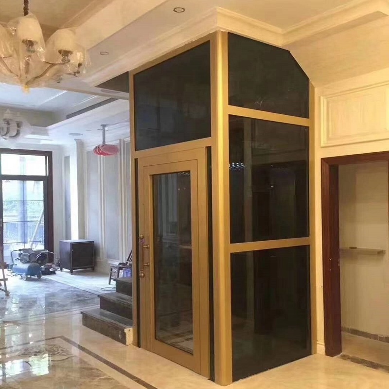 Hydraulic Home Passenger Electric Lift Building 400kg Indoor Outdoor Elevator