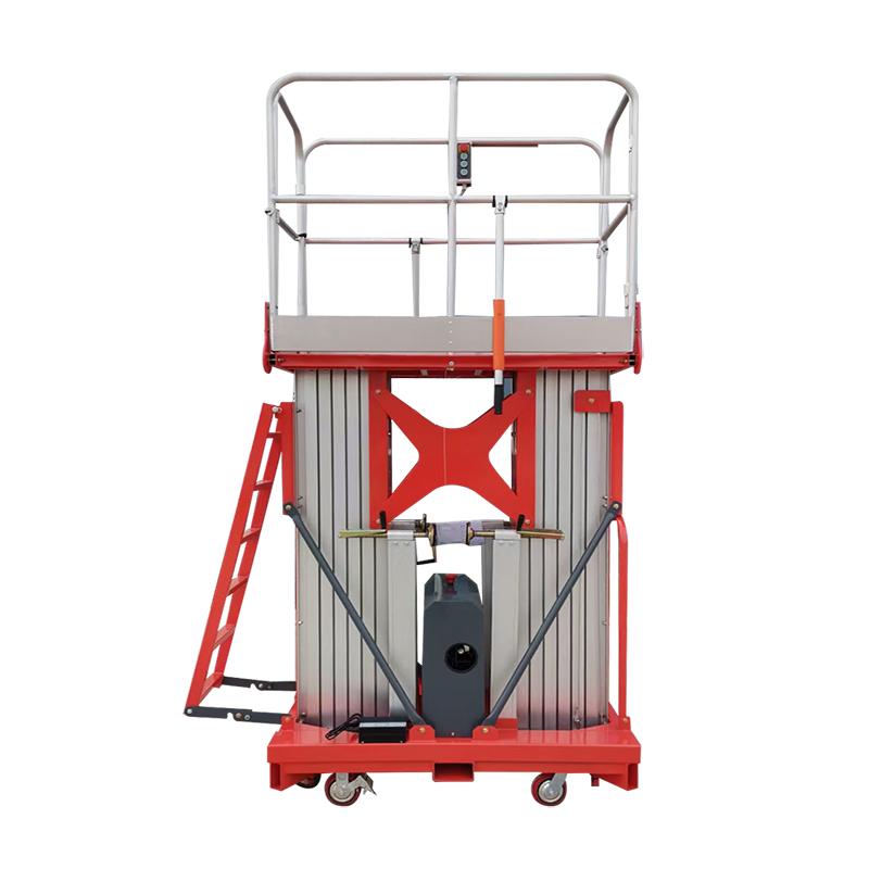 12m 200kg Push Around Vertical Rentable Double Mast Lift Platform Top Sale Manufacturer