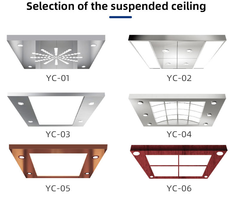 home-lift-price-for-philippines-supplier-oem.jpg